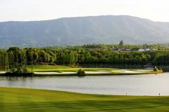 开办的企业都是我们中耳熟能详的