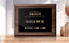 向数以十万计的专业不雅众和消费者曲不雅传送